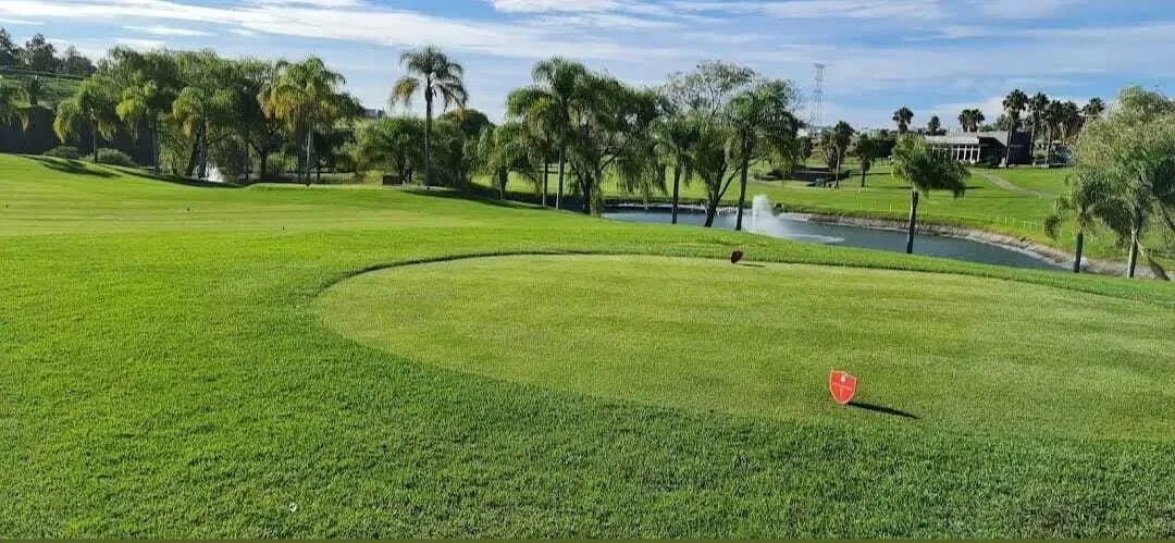VENTA DE TERRENO EN VALLE IMPERIAL - foto 3
